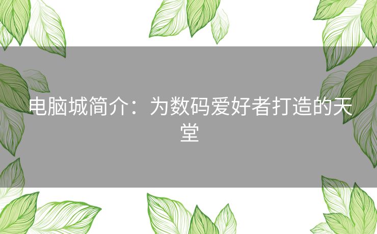 电脑城简介：为数码爱好者打造的天堂