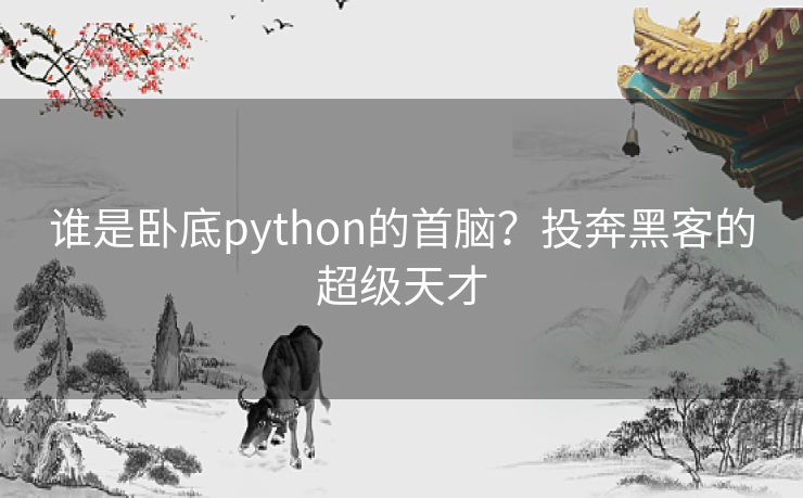 谁是卧底python的首脑？投奔黑客的超级天才