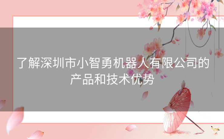 了解深圳市小智勇机器人有限公司的产品和技术优势