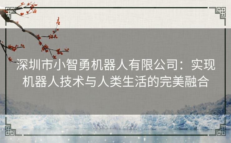 深圳市小智勇机器人有限公司：实现机器人技术与人类生活的完美融合