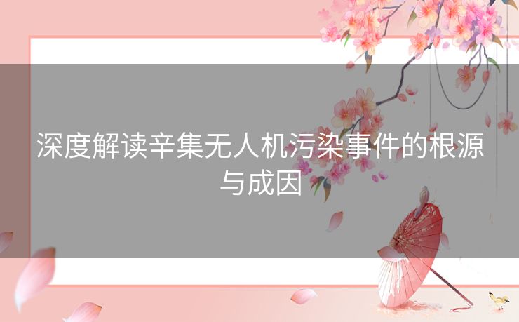 深度解读辛集无人机污染事件的根源与成因