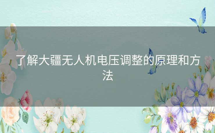 了解大疆无人机电压调整的原理和方法