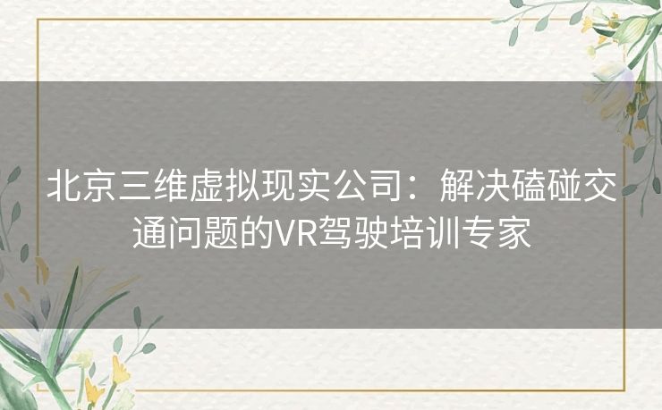 北京三维虚拟现实公司：解决磕碰交通问题的VR驾驶培训专家