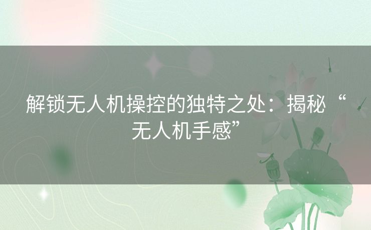 解锁无人机操控的独特之处：揭秘“无人机手感”