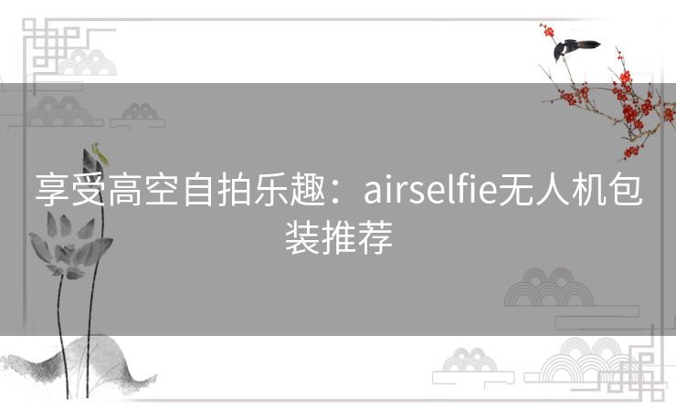 享受高空自拍乐趣：airselfie无人机包装推荐