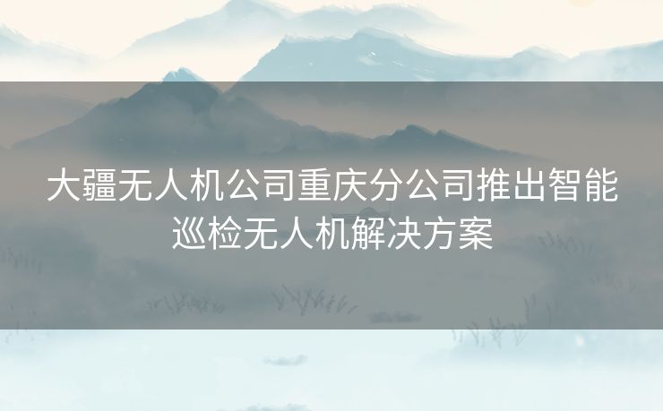 大疆无人机公司重庆分公司推出智能巡检无人机解决方案