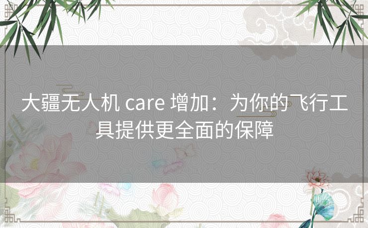 大疆无人机 care 增加：为你的飞行工具提供更全面的保障