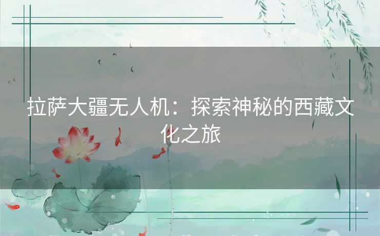 拉萨大疆无人机：探索神秘的西藏文化之旅