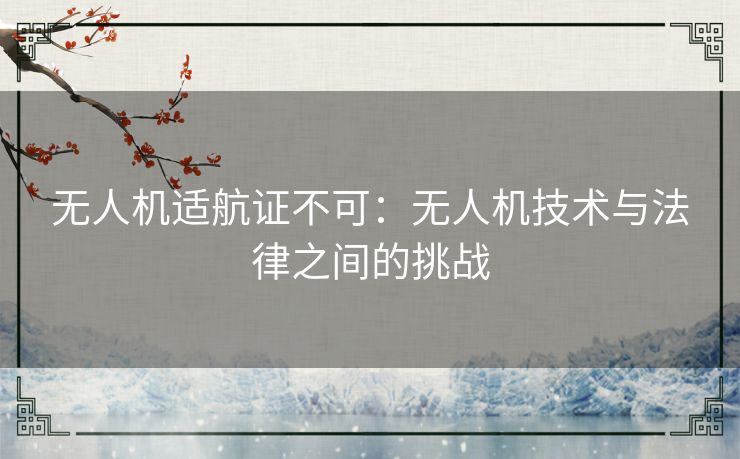 无人机适航证不可：无人机技术与法律之间的挑战