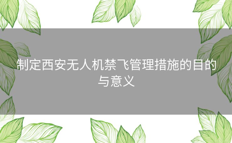 制定西安无人机禁飞管理措施的目的与意义