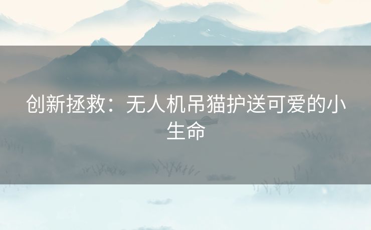 创新拯救：无人机吊猫护送可爱的小生命