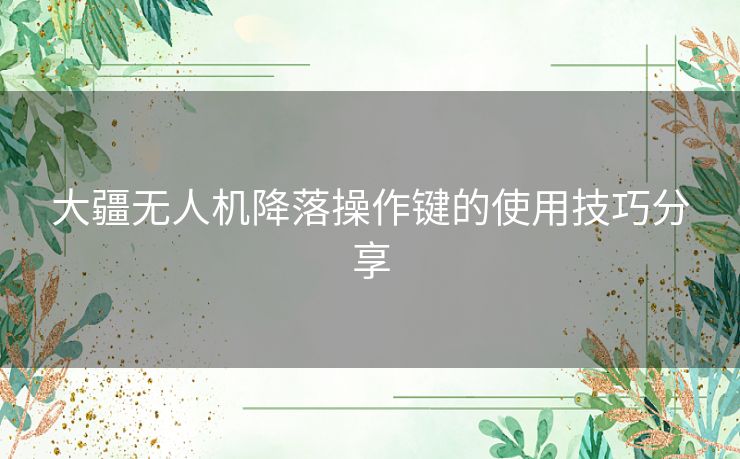 大疆无人机降落操作键的使用技巧分享