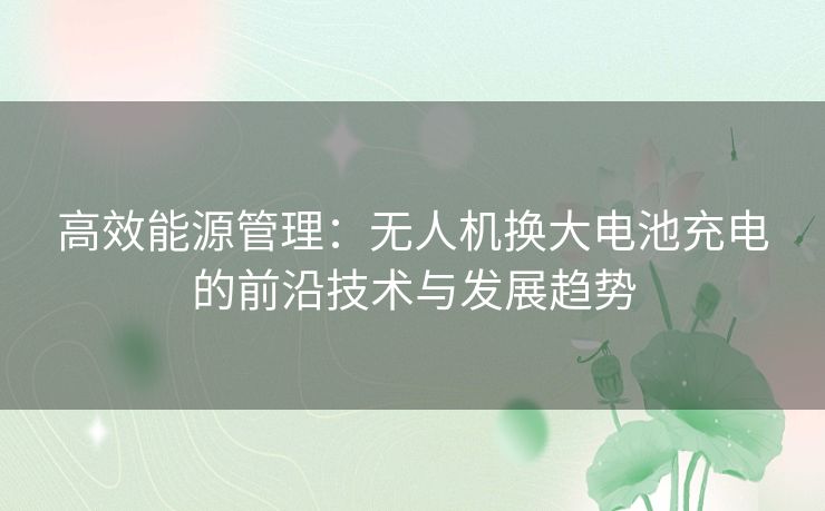 高效能源管理：无人机换大电池充电的前沿技术与发展趋势