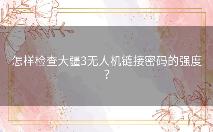 怎样检查大疆3无人机链接密码的强度？