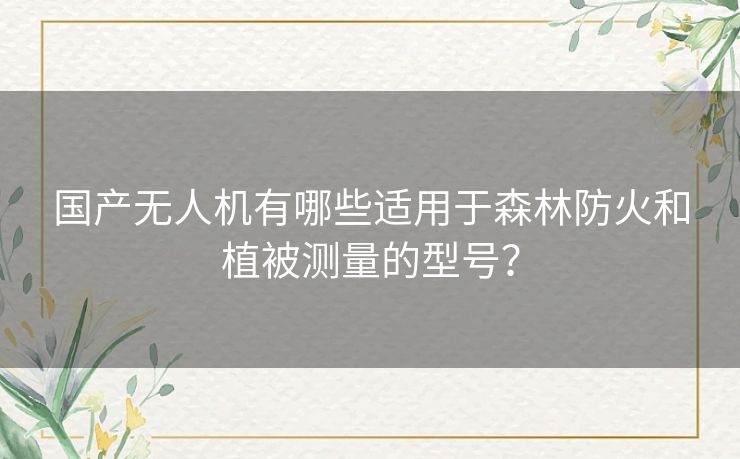 国产无人机有哪些适用于森林防火和植被测量的型号？