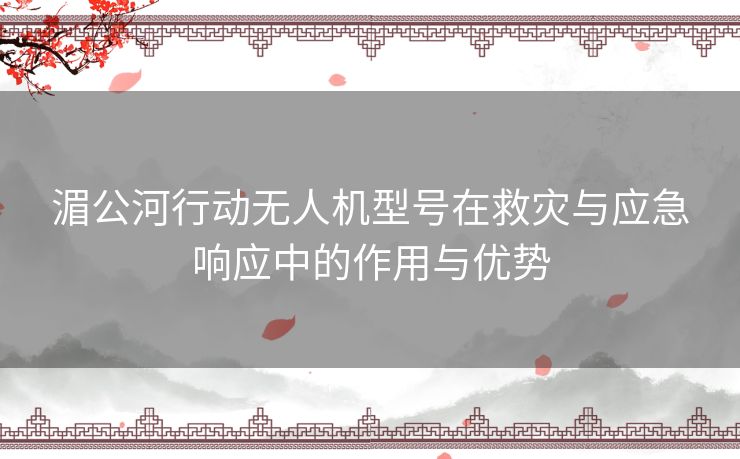 湄公河行动无人机型号在救灾与应急响应中的作用与优势