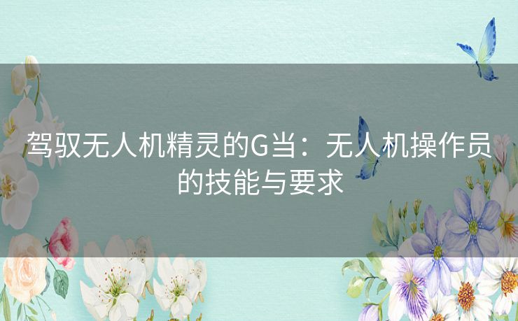 驾驭无人机精灵的G当：无人机操作员的技能与要求