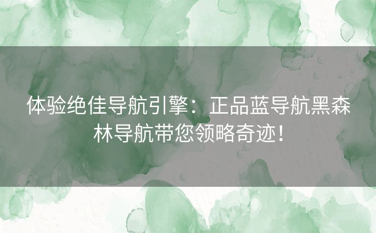 体验绝佳导航引擎：正品蓝导航黑森林导航带您领略奇迹！