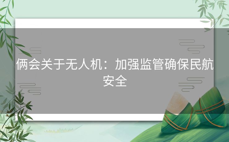 俩会关于无人机：加强监管确保民航安全