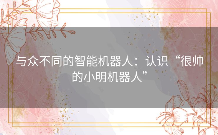 与众不同的智能机器人：认识“很帅的小明机器人”