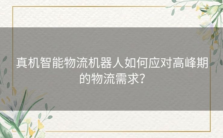 真机智能物流机器人如何应对高峰期的物流需求？