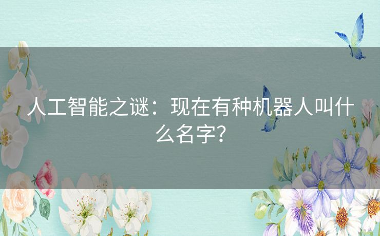 人工智能之谜：现在有种机器人叫什么名字？