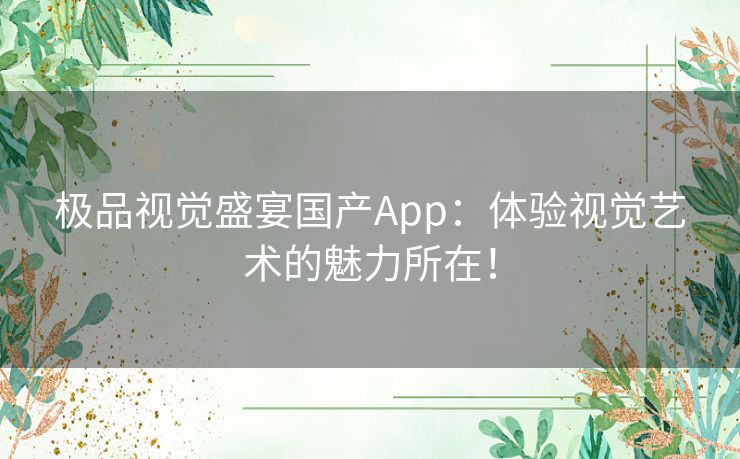 极品视觉盛宴国产App：体验视觉艺术的魅力所在！