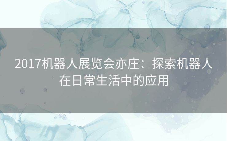 2017机器人展览会亦庄：探索机器人在日常生活中的应用