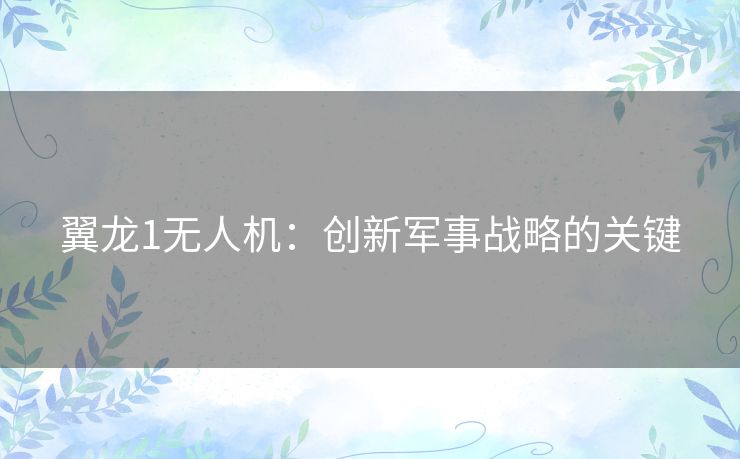 翼龙1无人机：创新军事战略的关键