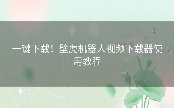 一键下载！壁虎机器人视频下载器使用教程