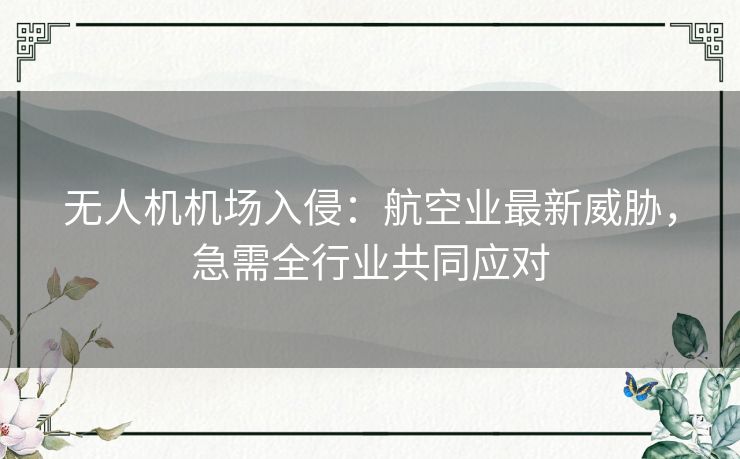 无人机机场入侵：航空业最新威胁，急需全行业共同应对