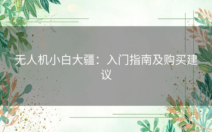 无人机小白大疆：入门指南及购买建议