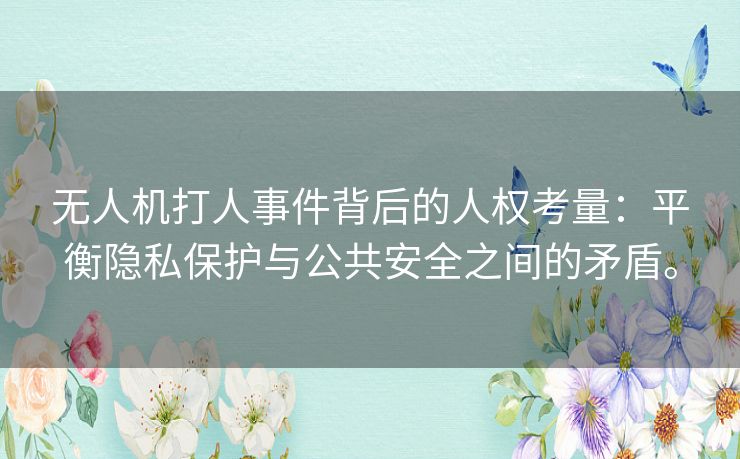 无人机打人事件背后的人权考量：平衡隐私保护与公共安全之间的矛盾。