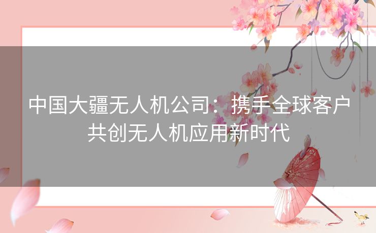 中国大疆无人机公司：携手全球客户共创无人机应用新时代