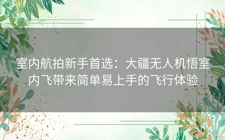 室内航拍新手首选：大疆无人机悟室内飞带来简单易上手的飞行体验