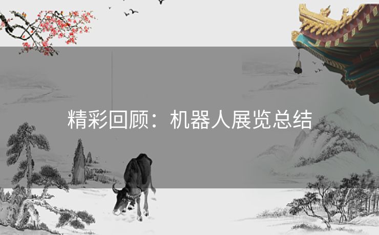 精彩回顾：机器人展览总结