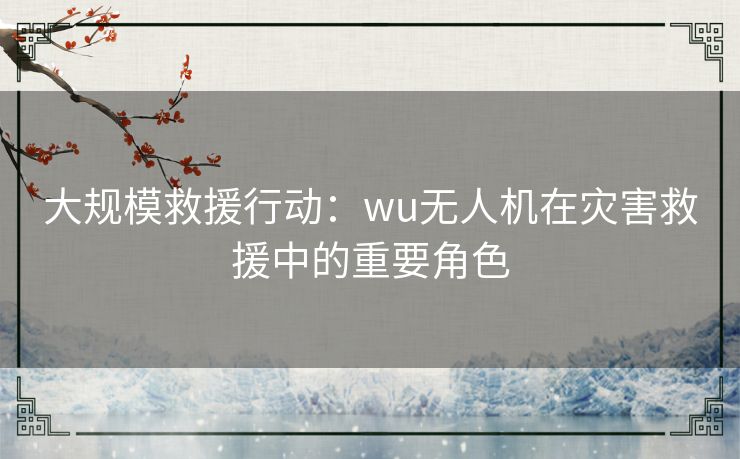 大规模救援行动：wu无人机在灾害救援中的重要角色