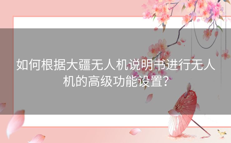 如何根据大疆无人机说明书进行无人机的高级功能设置？