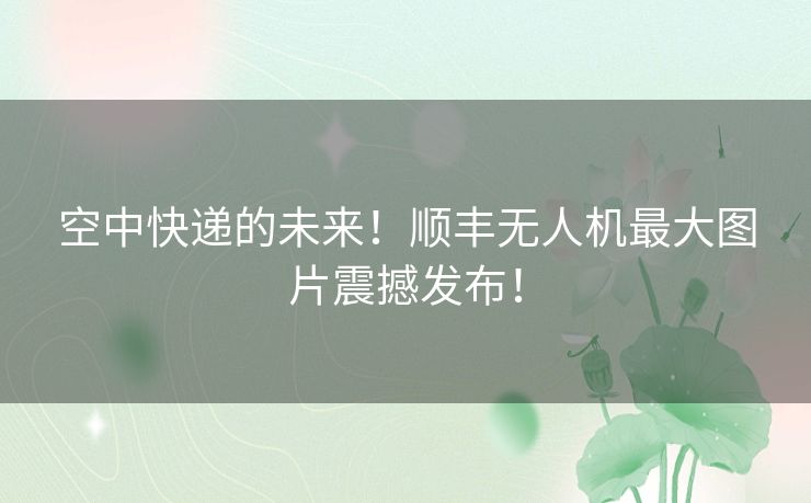 空中快递的未来！顺丰无人机最大图片震撼发布！