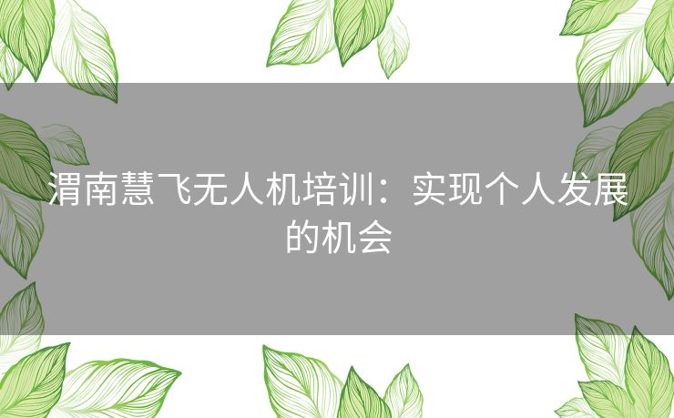 渭南慧飞无人机培训：实现个人发展的机会