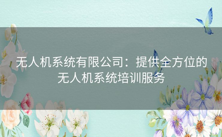 无人机系统有限公司：提供全方位的无人机系统培训服务