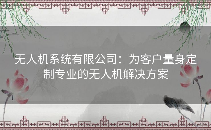 无人机系统有限公司：为客户量身定制专业的无人机解决方案