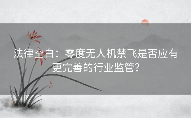 法律空白：零度无人机禁飞是否应有更完善的行业监管？