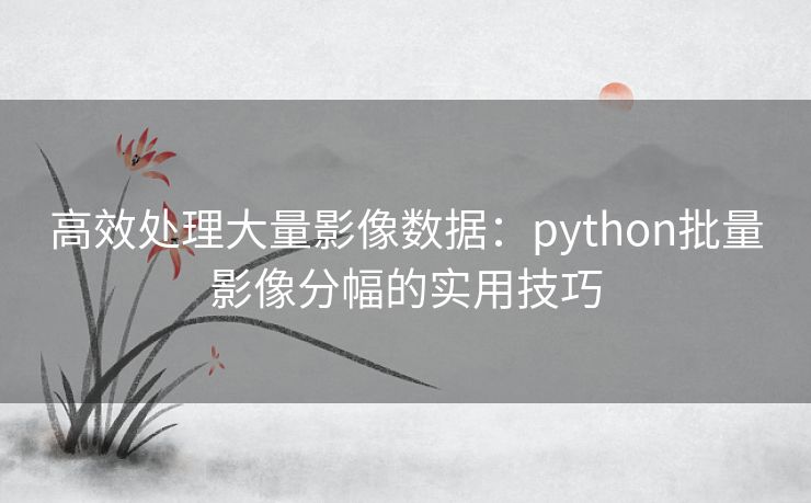 高效处理大量影像数据：python批量影像分幅的实用技巧