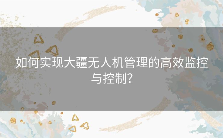 如何实现大疆无人机管理的高效监控与控制？