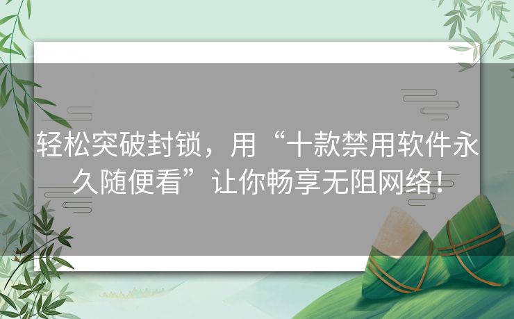 轻松突破封锁，用“十款禁用软件永久随便看”让你畅享无阻网络！