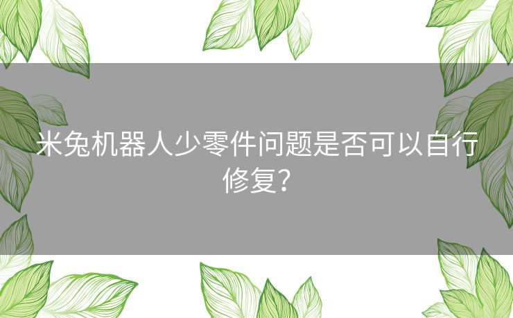 米兔机器人少零件问题是否可以自行修复？