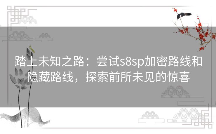 踏上未知之路：尝试s8sp加密路线和隐藏路线，探索前所未见的惊喜