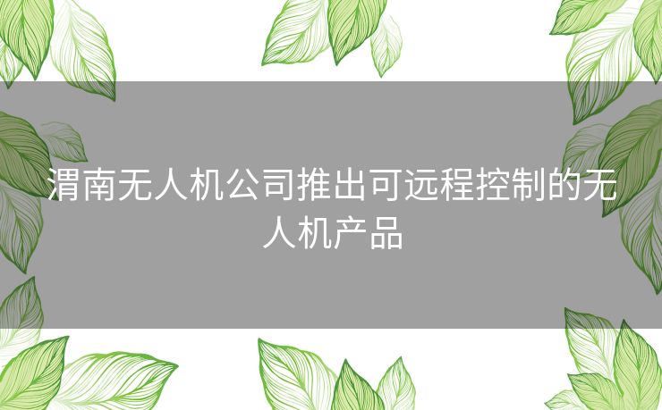 渭南无人机公司推出可远程控制的无人机产品