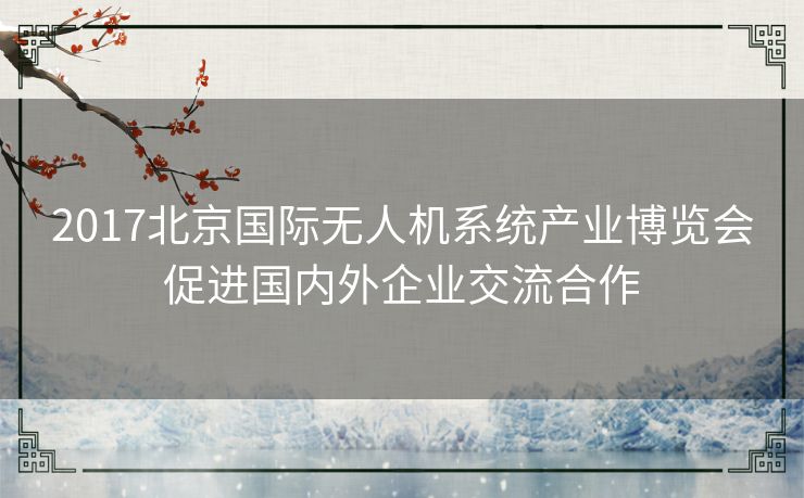 2017北京国际无人机系统产业博览会促进国内外企业交流合作